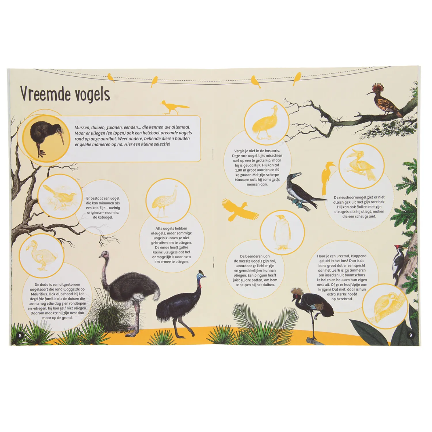 Standaard Uitgeverij 50 Weetjes 50 Stickers - Vogels New