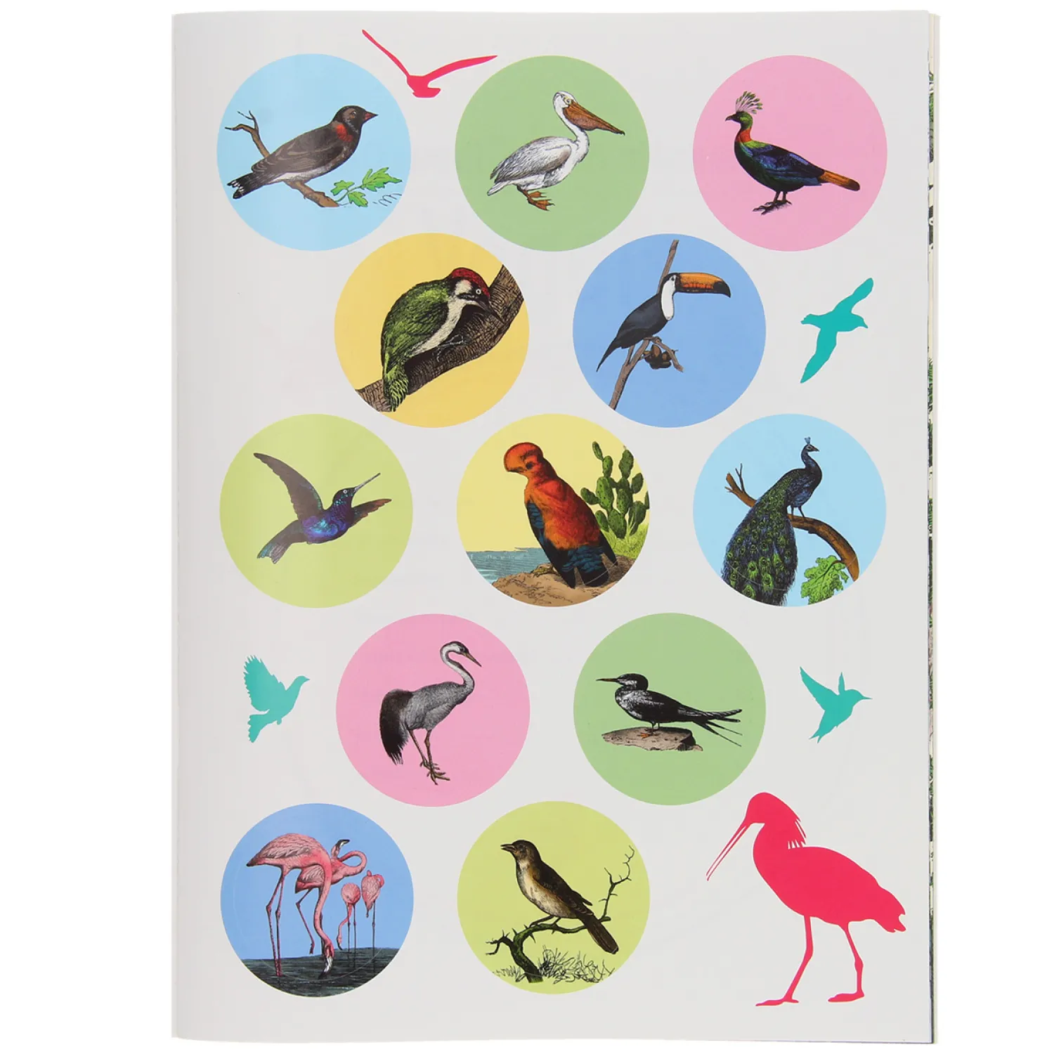 Standaard Uitgeverij 50 Weetjes 50 Stickers - Vogels New
