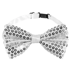 Accessoireset Zilver><noscript><img width=