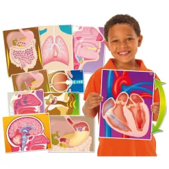 Actiekaarten mijn Lichaam - 10 Kaarten Sale