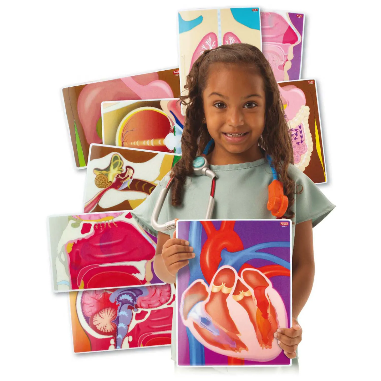 Actiekaarten mijn Lichaam - 10 Kaarten Sale