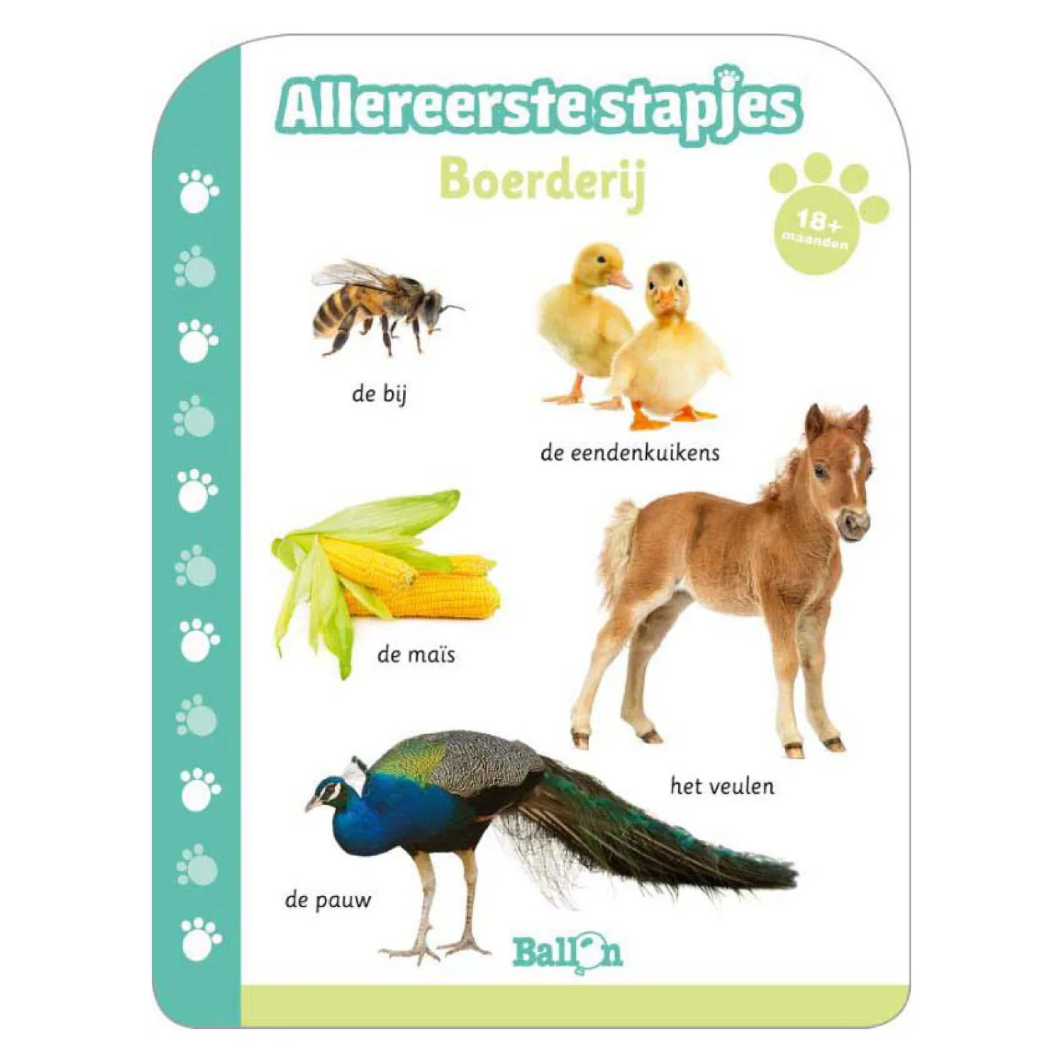 Allereerste Stapjes Boerderij 18-24 Maanden-Wins Holland Sale