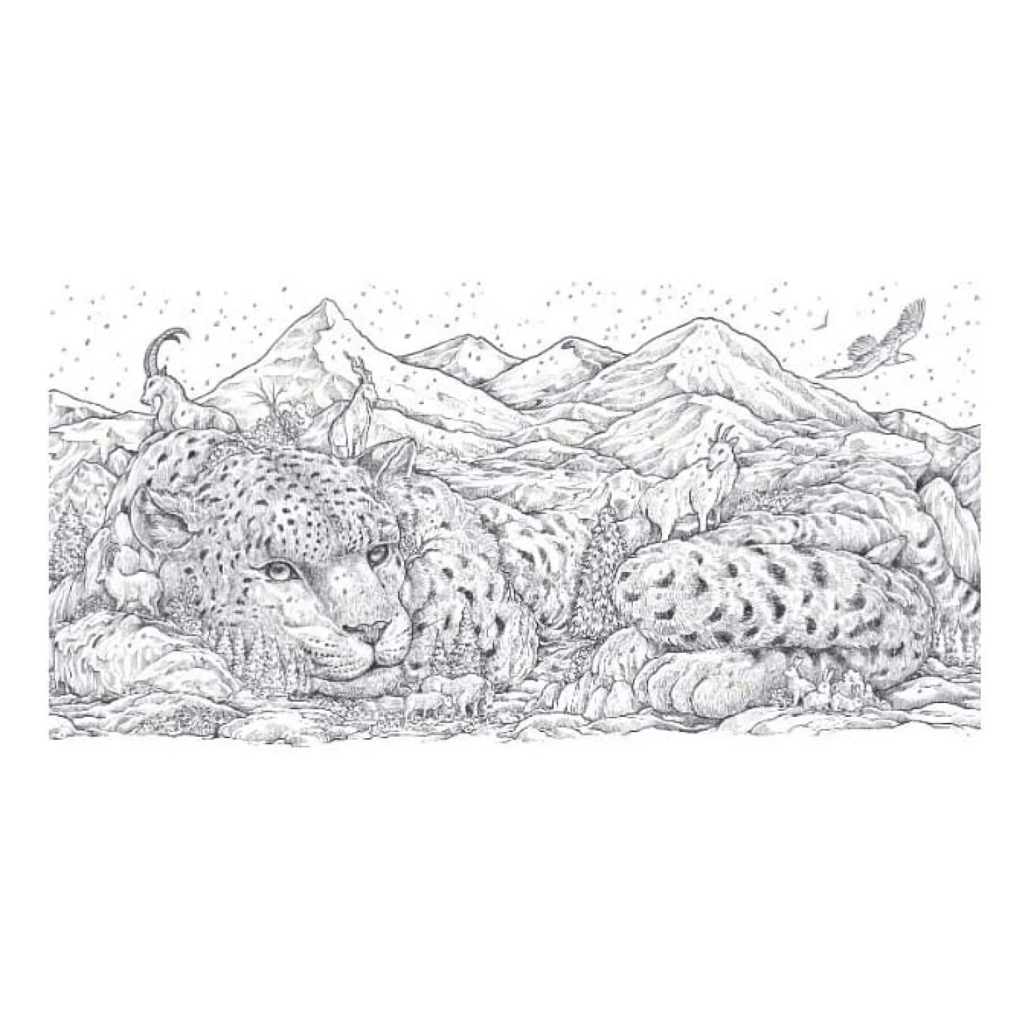 Lantaarn Publishers Animal World Kleurboek Clearance