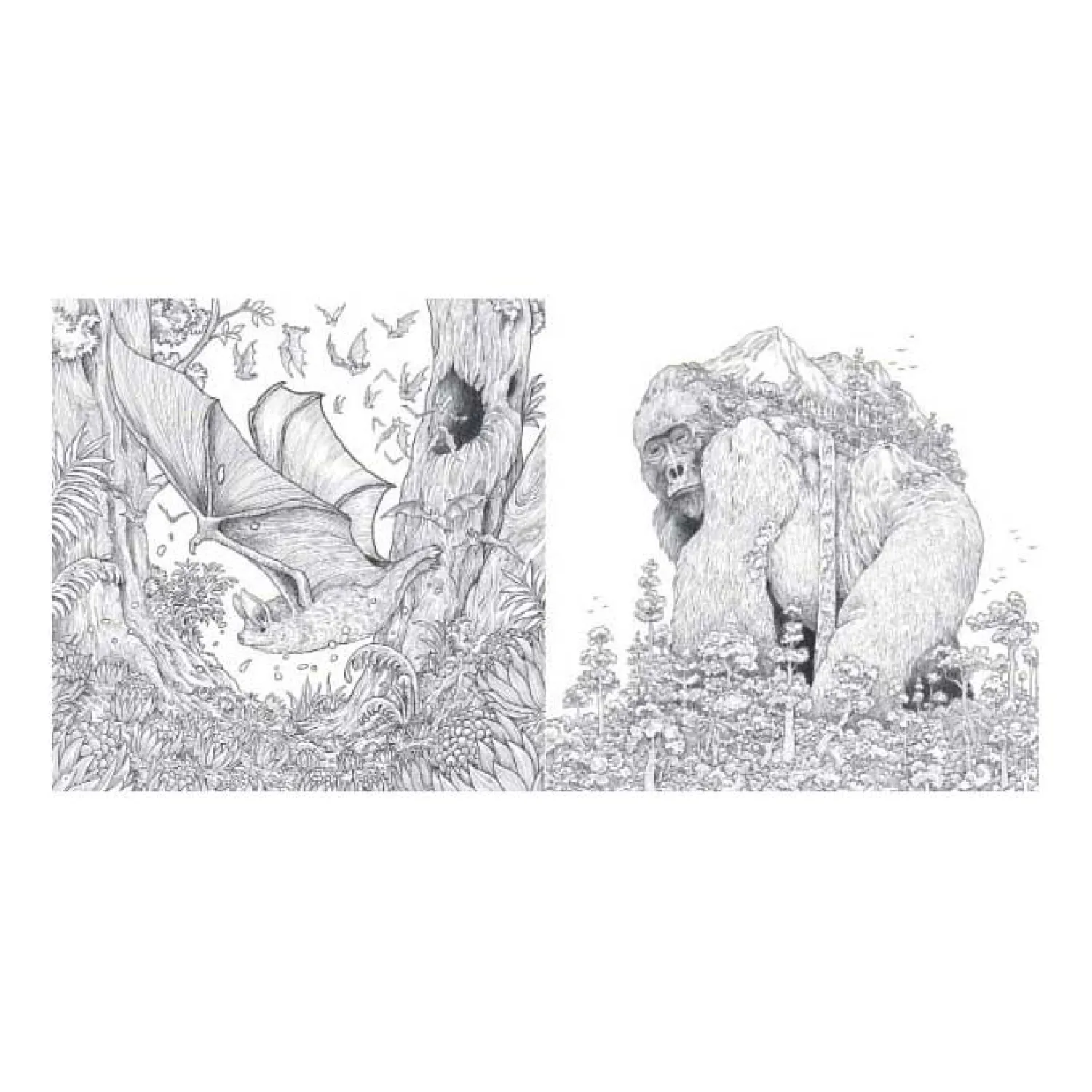 Lantaarn Publishers Animal World Kleurboek Clearance