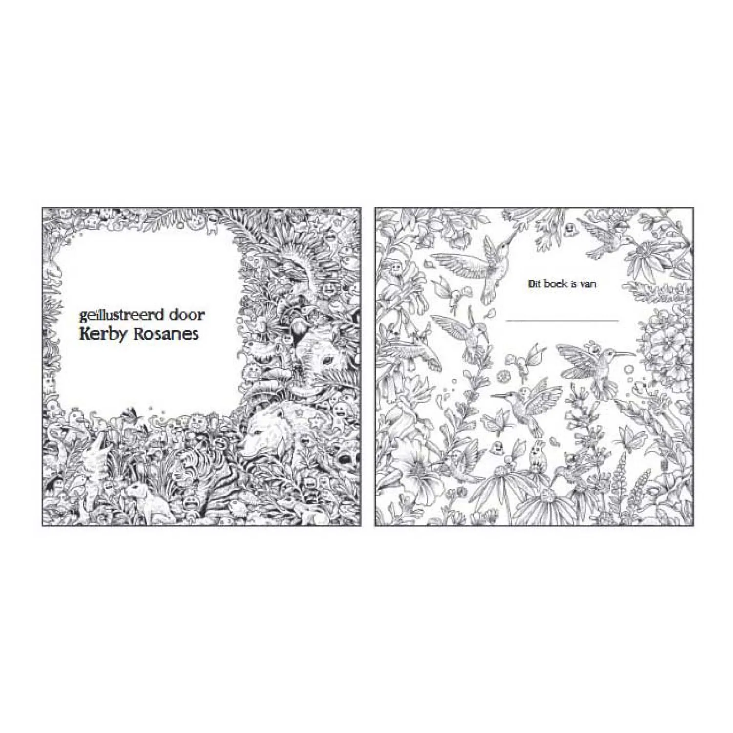 Animorphia Zoekboek en Voorleesboek-Lantaarn Publishers Online