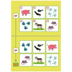 Loco Bambino Pakket Kikker Spelen en Leren Clearance