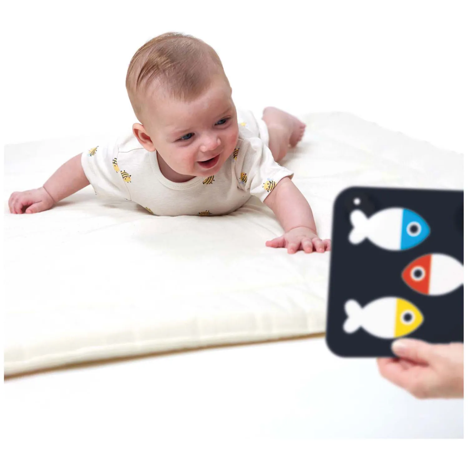 Banana Panda - Hoog Contrast Babykaarten 0m+ / 3m+ - 24st. Best