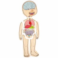 Houten Lagenpuzzel Meisje - 5 Lagen-Beleduc Discount