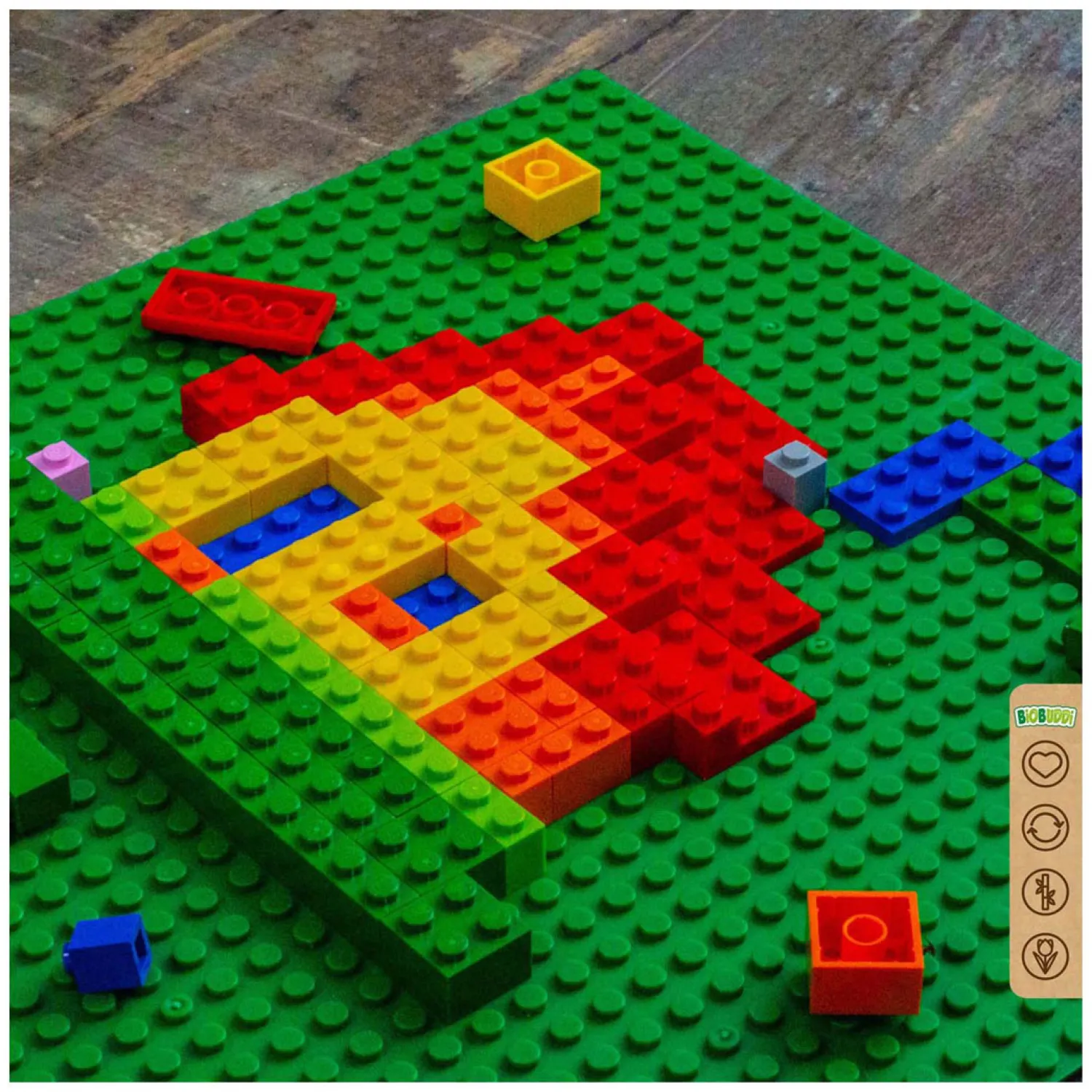 Edu Basisplatenset Forest Green - 4st.>BiOBUDDi Online