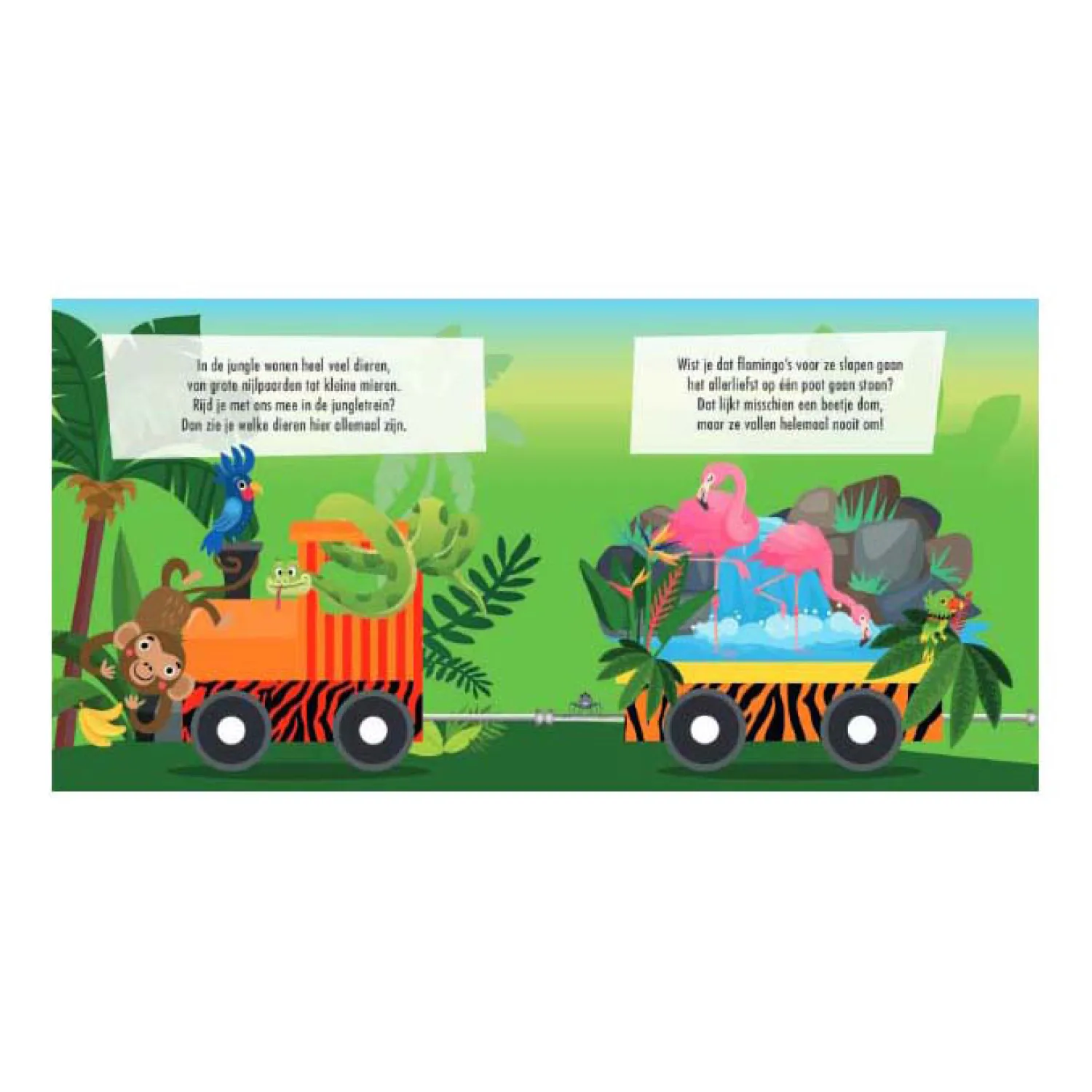 Boek en Puzzeltrein Jungle-Lantaarn Publishers Clearance