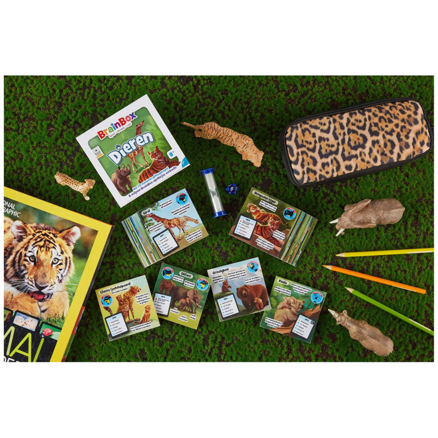 BrainBox Dieren Bordspel>Asmodee Best