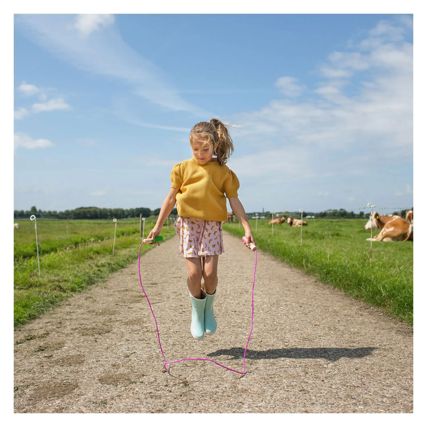 Springtouw Roze met Houten Handvatten>BS Toys