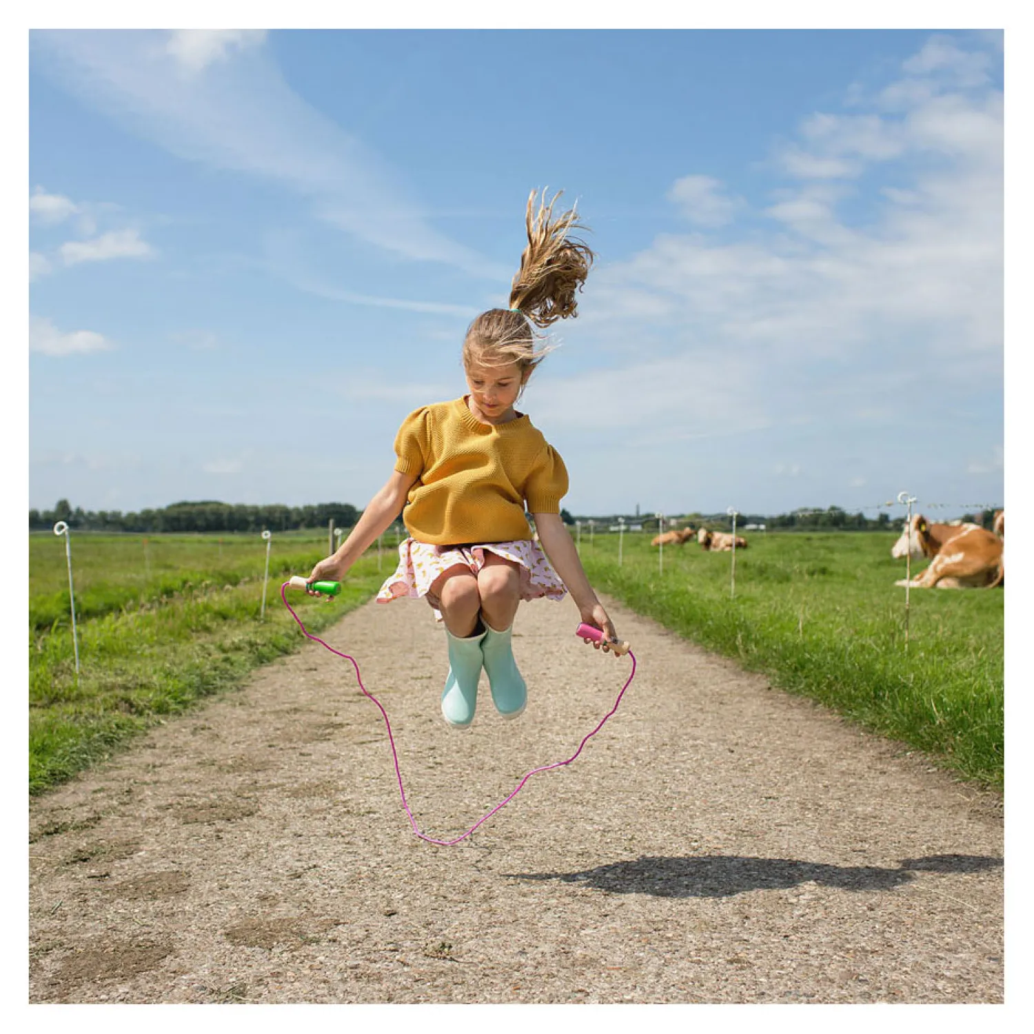 Springtouw Roze met Houten Handvatten>BS Toys