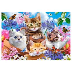 Selecta Castorland Legpuzzel Kittens with Flowers, 500st. Best