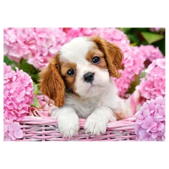 Castorland Legpuzzel Pup in pink flowers, 500st.>Selecta Outlet