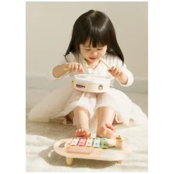 Classic World Houten Muziekinstrumenten Set Iris Online