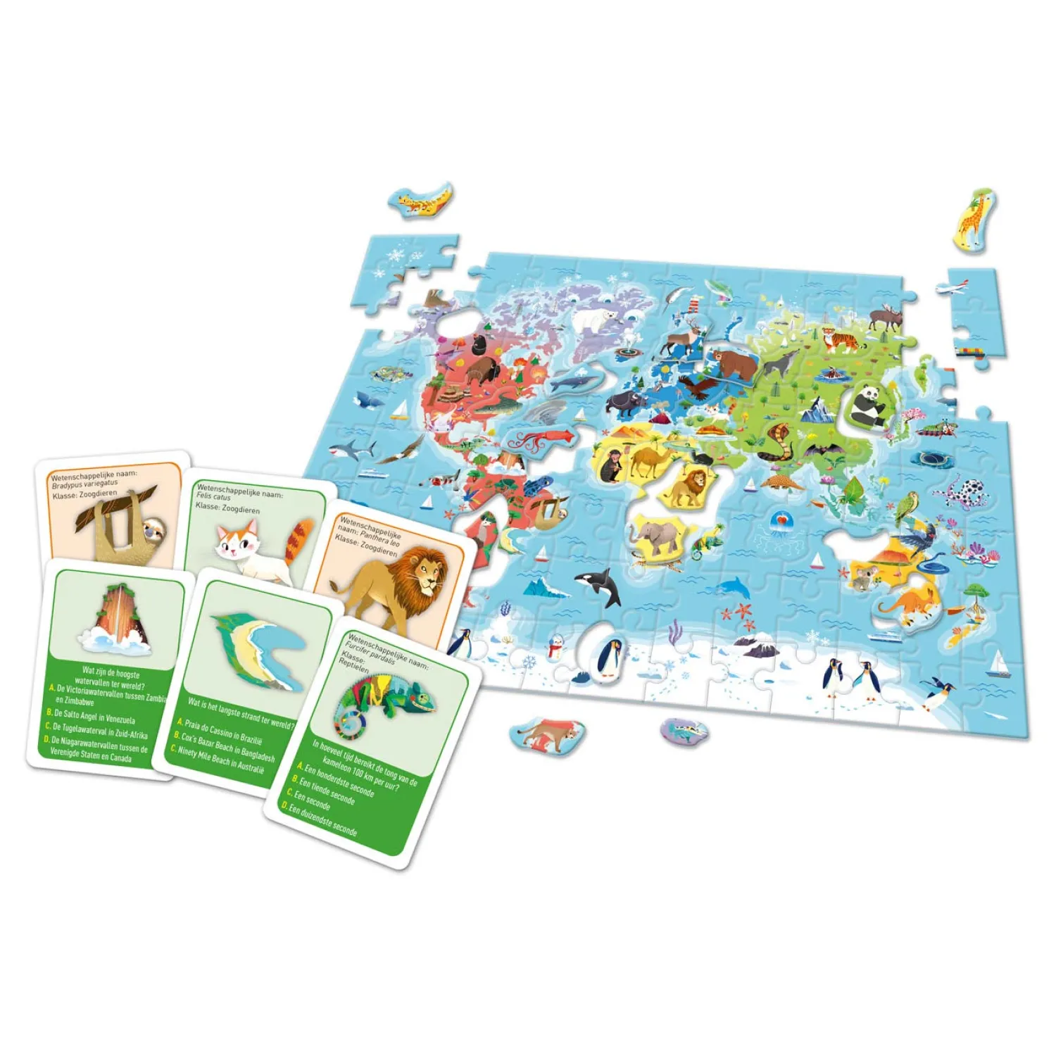 Education - Ontdek de Wereld>Clementoni New