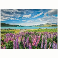 Clementoni Legpuzzel Bloemen bij Lake Tekapo, 1500st. New