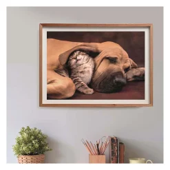 Clementoni Legpuzzel Hond en Kat, 500st. Clearance