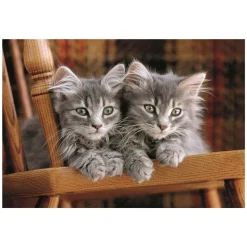 Legpuzzel Kittens, 500st.-Clementoni New