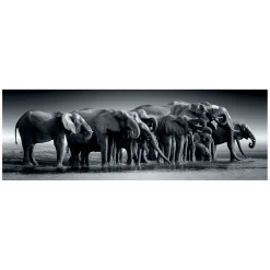 Clementoni Legpuzzel Panorama Herd of Giants, 1000st. Hot