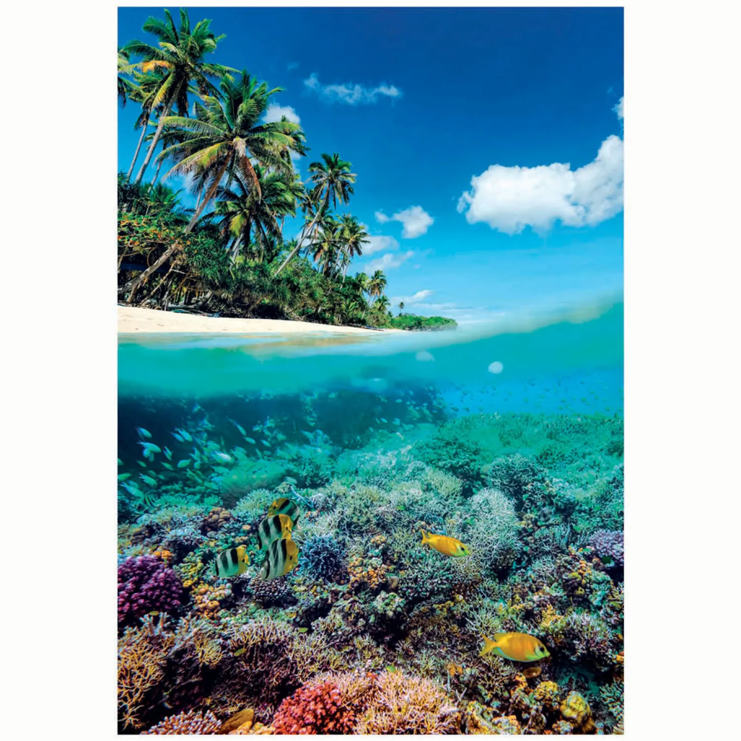 Legpuzzel Zomerparadijs, 1000st.-Clementoni Online