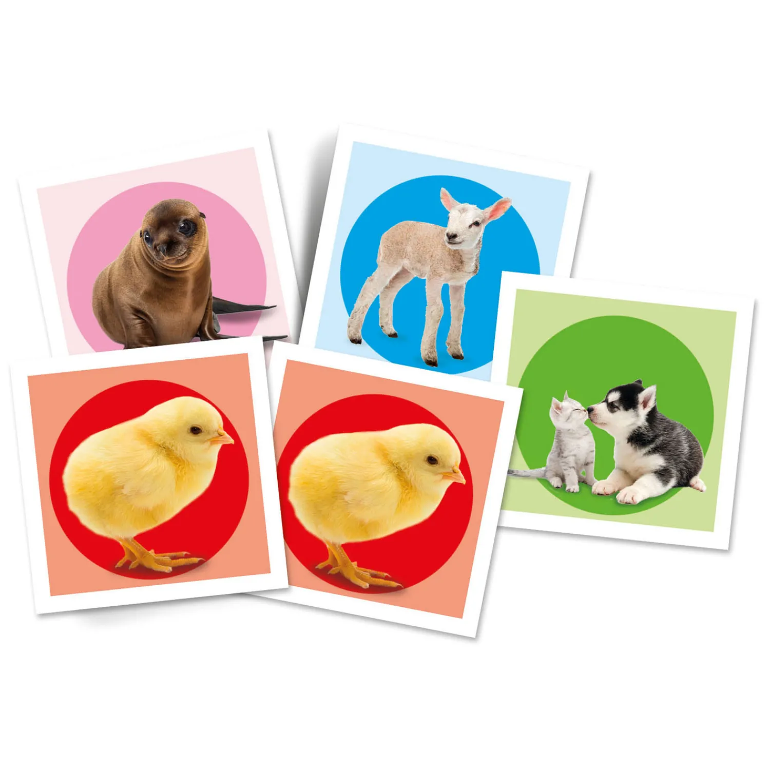 Clementoni Memospel Puppies Online