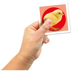 Clementoni Memospel Puppies Online