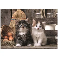 Clementoni Puzzel - Schattige Kittens, 1000st. Outlet