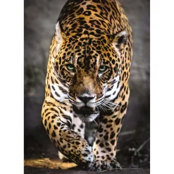Puzzel Jaguar, 1000st.>Clementoni