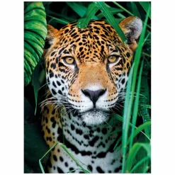 Puzzel Jaguar in de Jungle, 500st.-Clementoni Sale