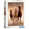 Clementoni Puzzel Paarden, 1000st. Clearance