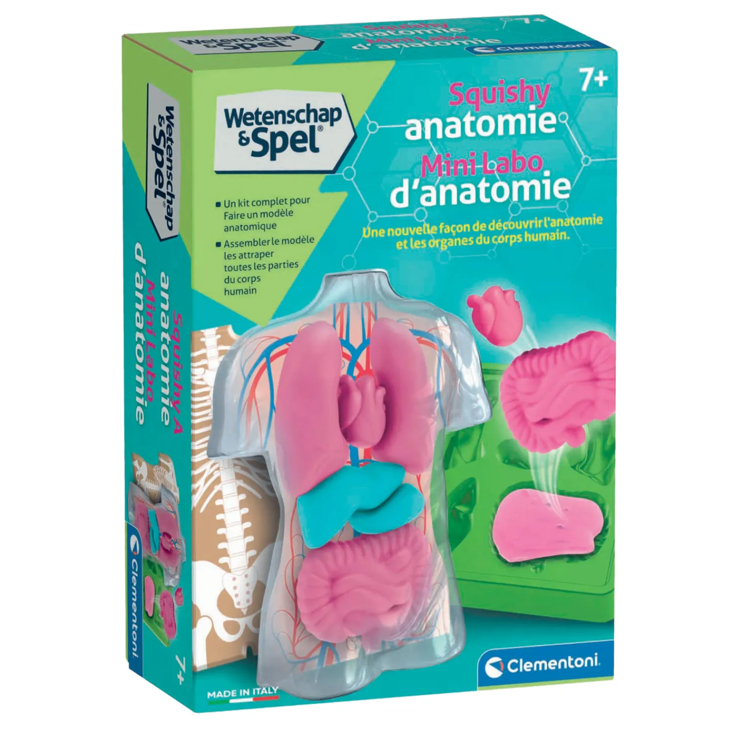 Wetenschap & Spel - Squishy Anatomie>Clementoni Online