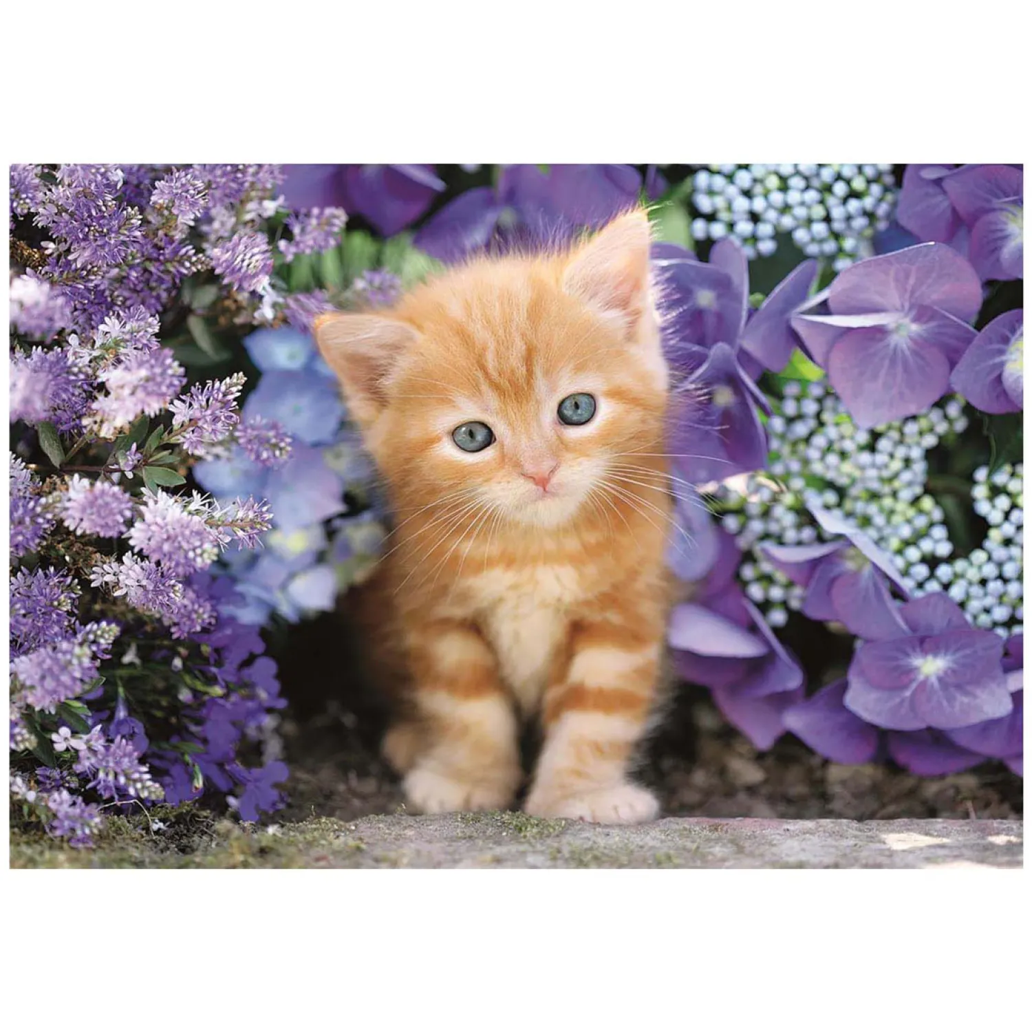 Clemetoni Legpuzzel Ginger Cat, 500st.>Clementoni Outlet