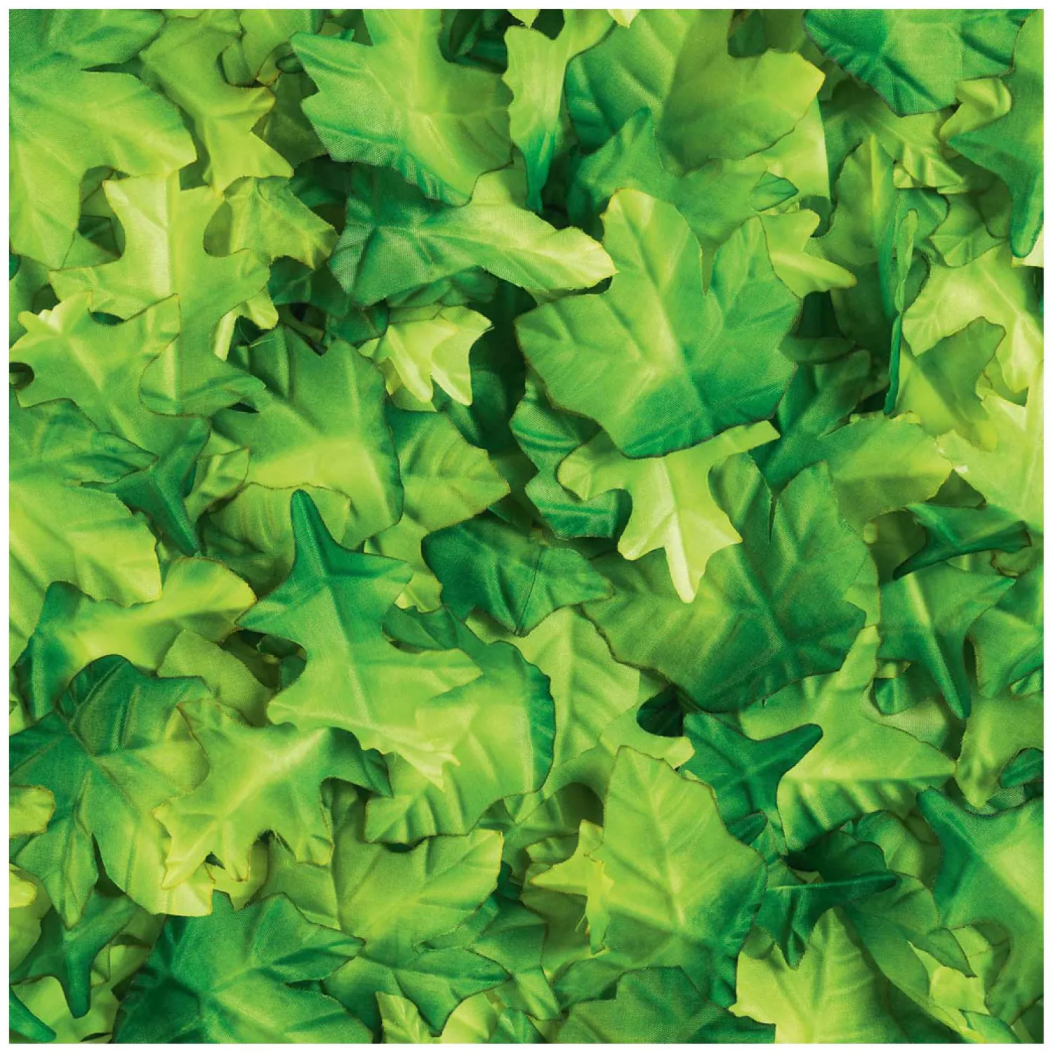 Colorations - Groene Blaadjes, 200st. Online