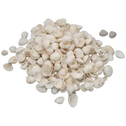 - Kleine Ark Schelpen, 500 gram-Colorations New