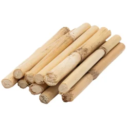 - Korte Bamboestokkken 10-12cm, 10st.>Colorations Best