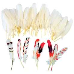 - Natuurlijke Witte Veren, 48st.>Colorations Clearance