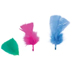 - Regenboogveren, 85 gram-Colorations