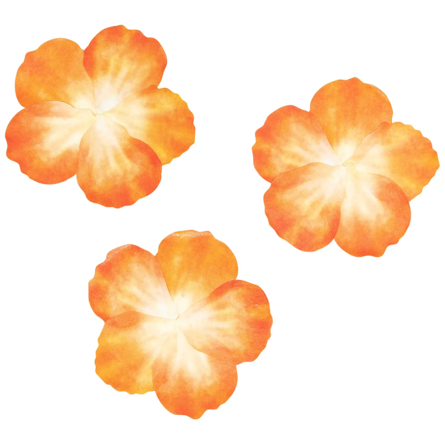 Colorations - Washi Stickers - Oranje Bloemblaadjes, 80st. Online