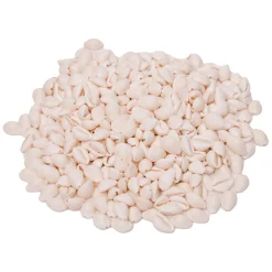 - Zeeschelpen Kauri, 300g-Colorations Hot