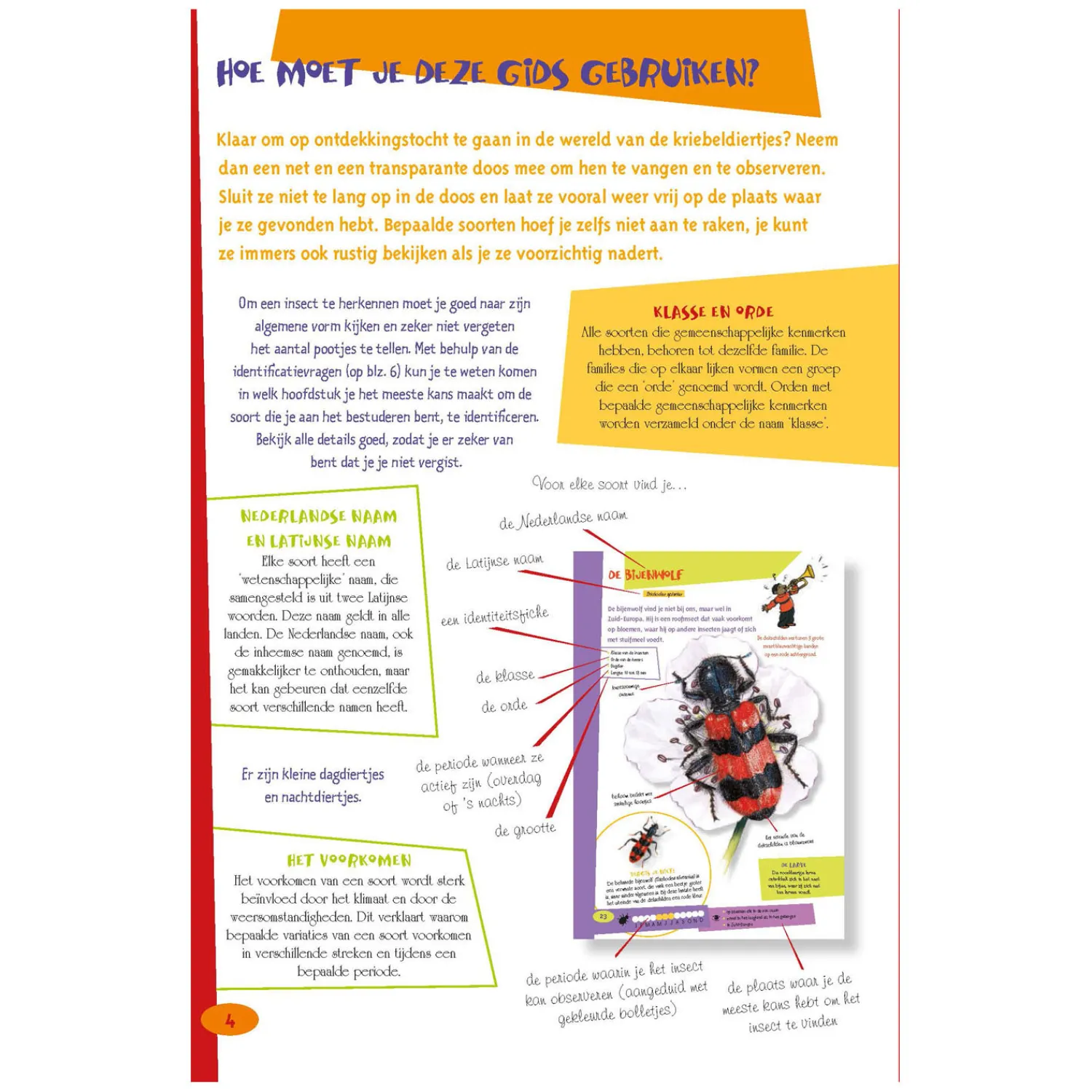 De leukste insectengids voor kids>Deltas Best