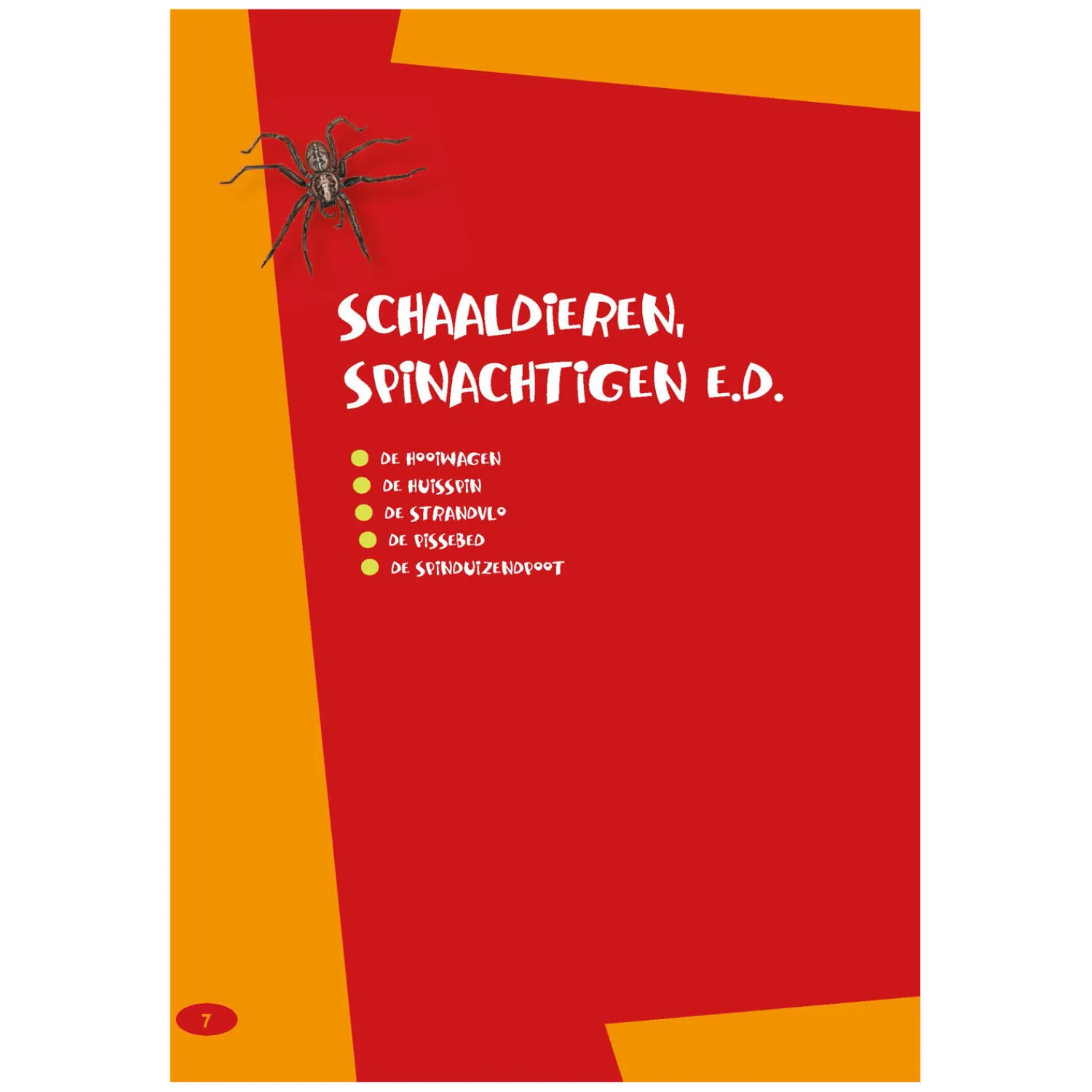 De leukste insectengids voor kids>Deltas Best