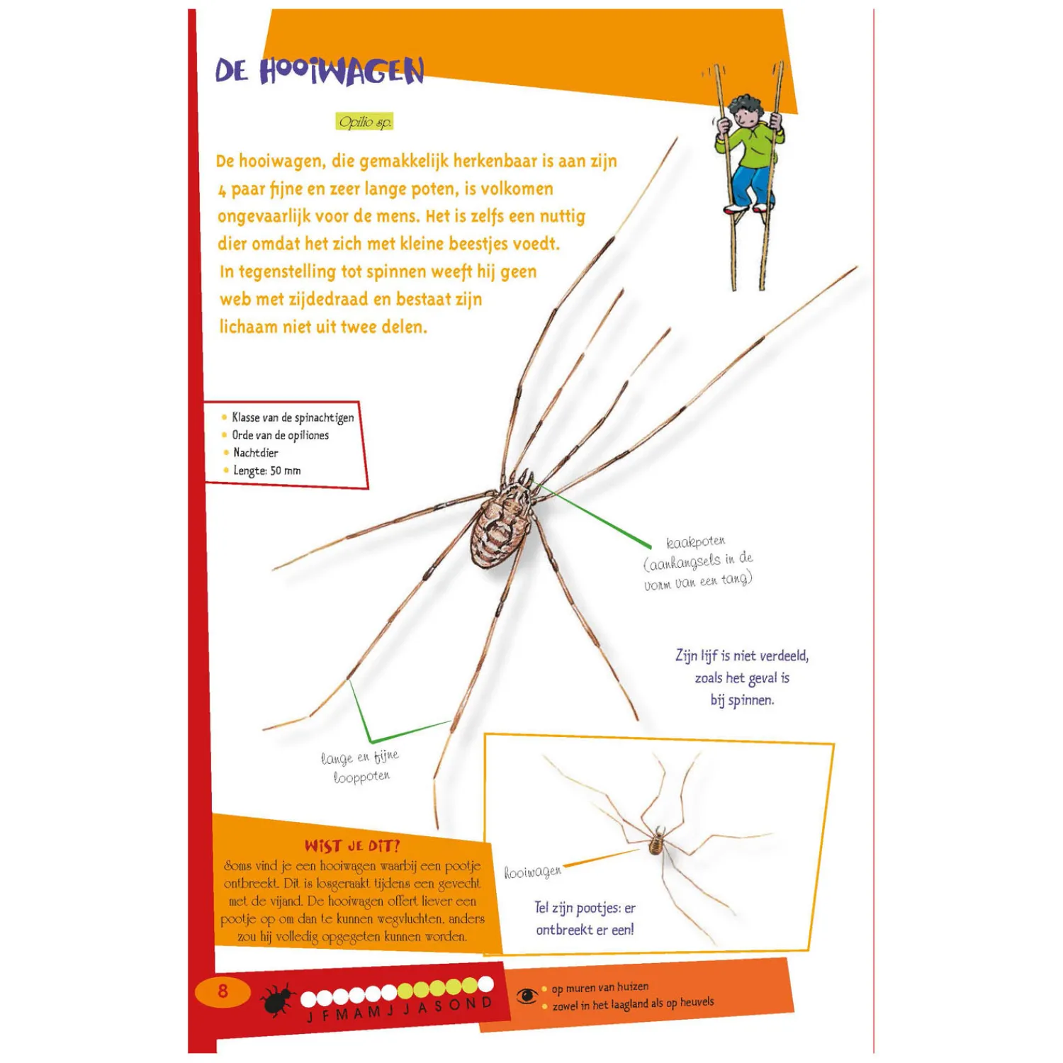 De leukste insectengids voor kids>Deltas Best