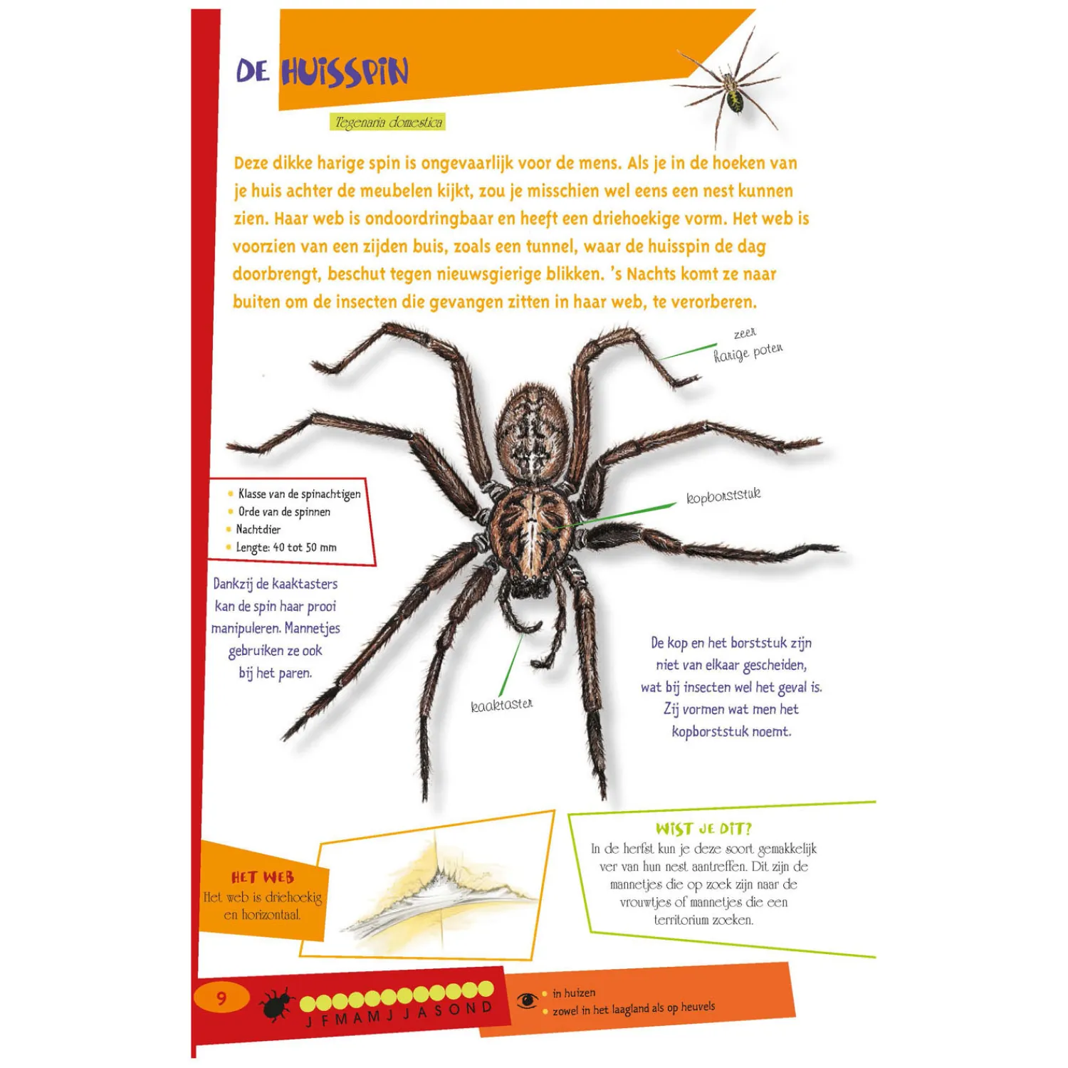 De leukste insectengids voor kids>Deltas Best