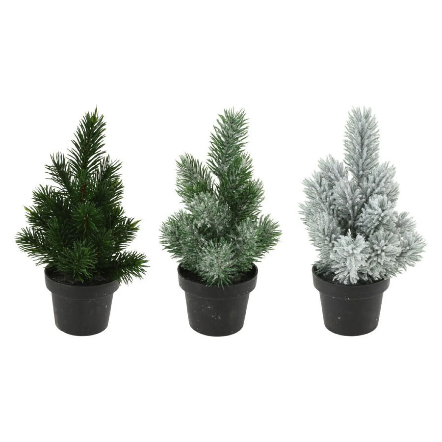 Denneboom in Pot, 33cm> New