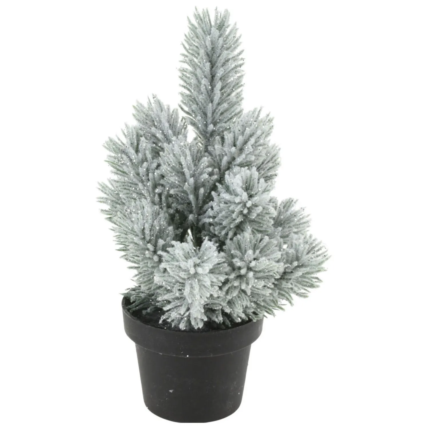 Denneboom in Pot, 33cm> New