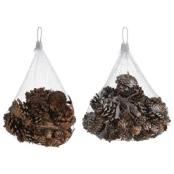 Dennenappels met Boomschors