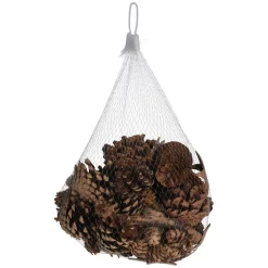 Dennenappels met Boomschors