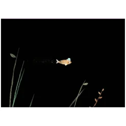 Deze hoed is niet van mij-Gottmer Uitgevers Groep Clearance